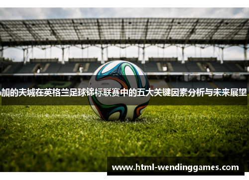 加的夫城在英格兰足球锦标联赛中的五大关键因素分析与未来展望