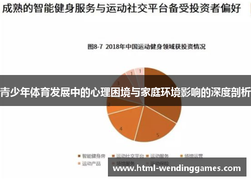 青少年体育发展中的心理困境与家庭环境影响的深度剖析